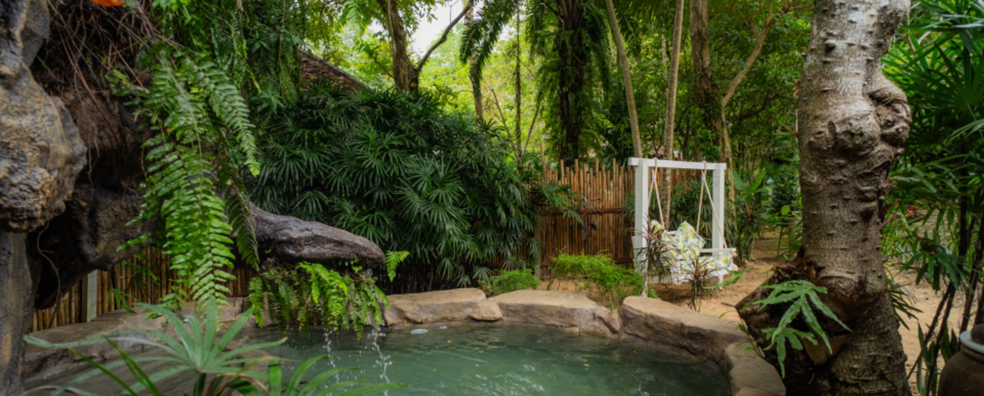Spa  Wellness 