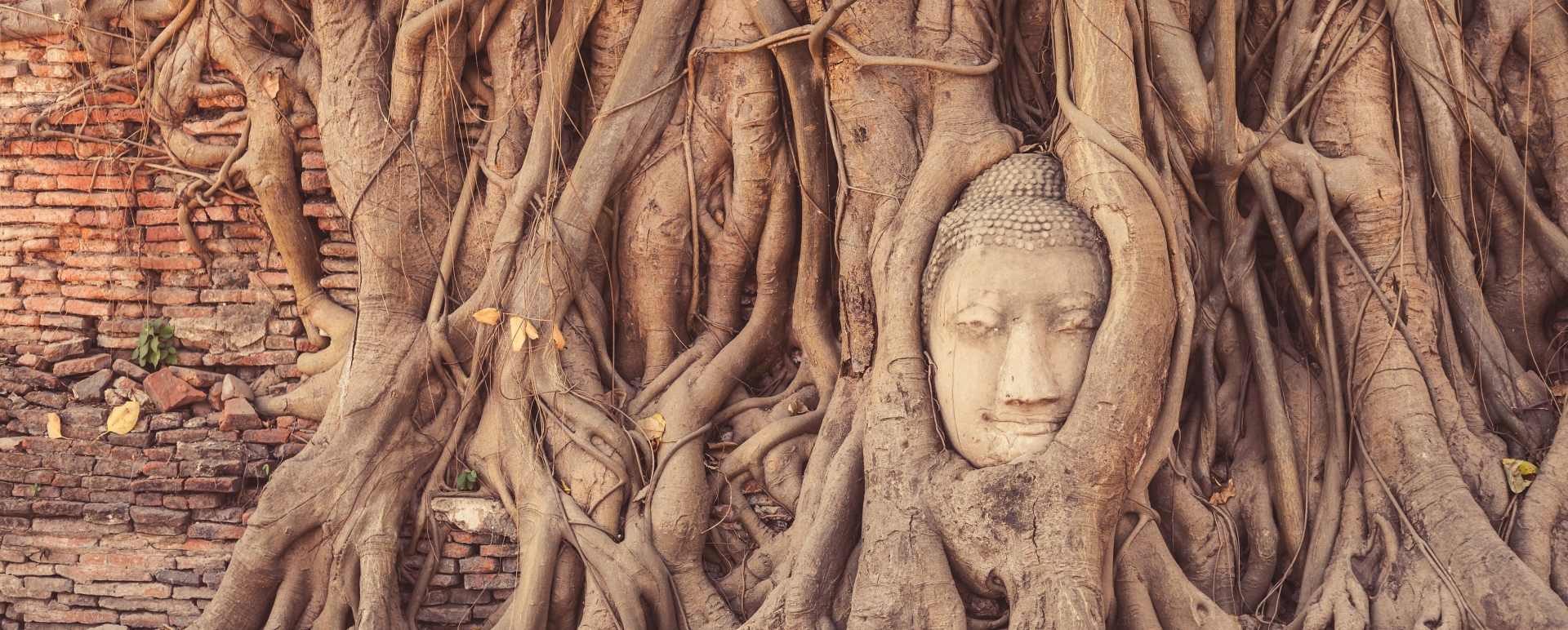 Heritage of Ancient Ayutthaya in Style