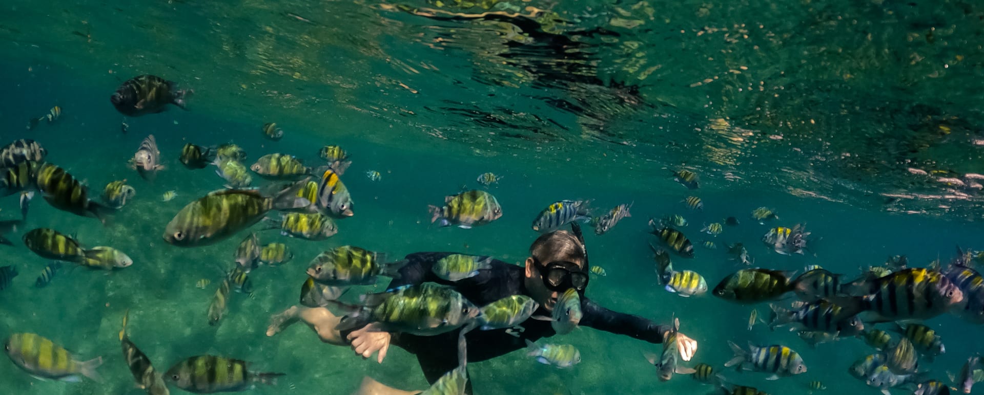 Snorkelling at Koh Waeo