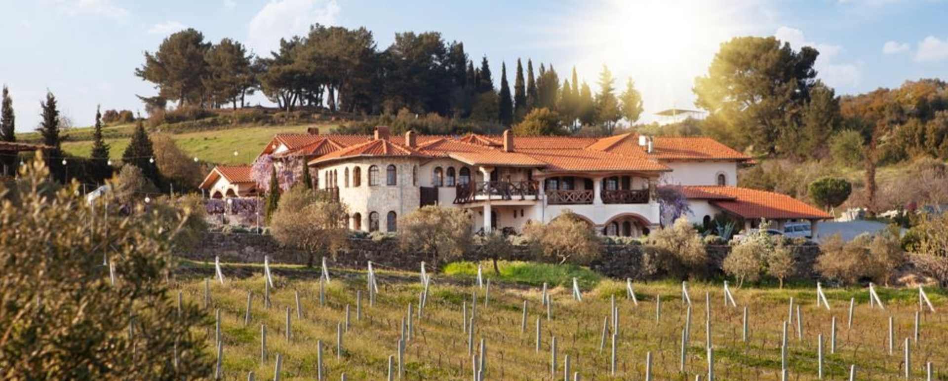 Hotel and vineyard 