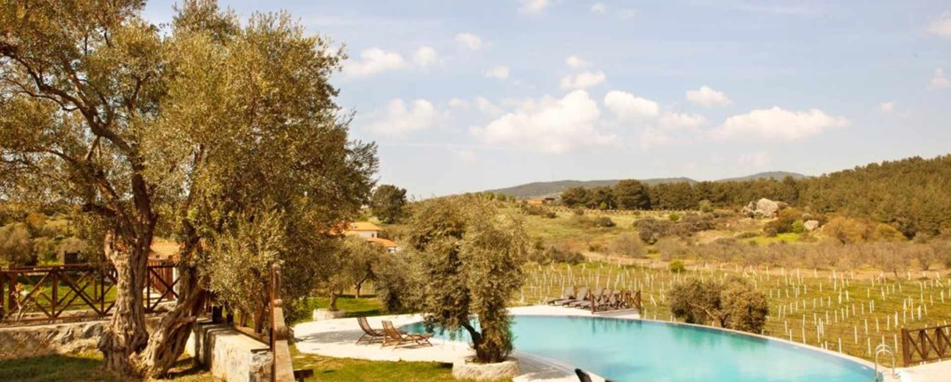 Pool and view 