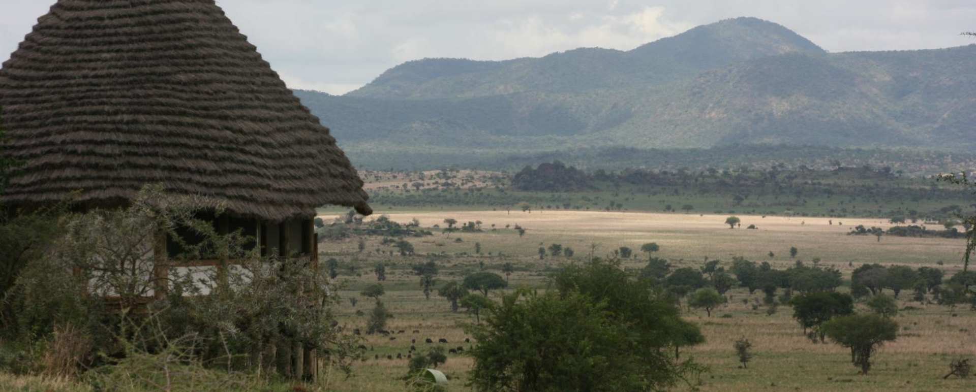 A cottage looking over the plains - Apoka Lodge