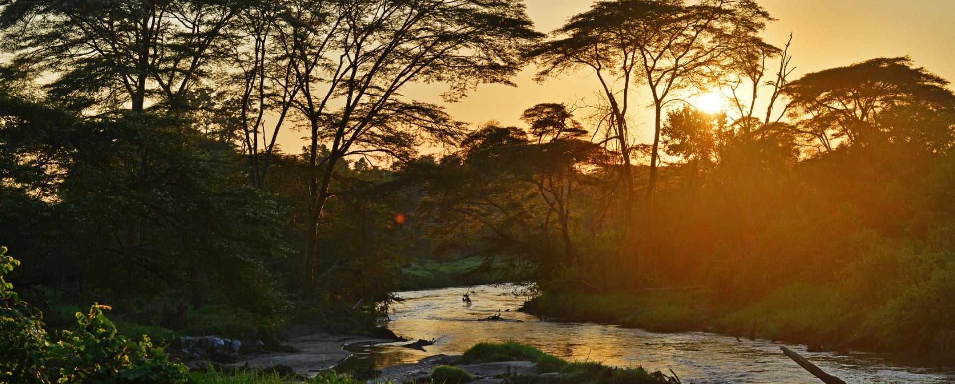 Sunrise over river 