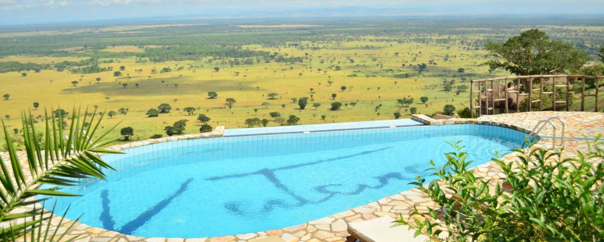 Swimming Pool - Katara Lodge