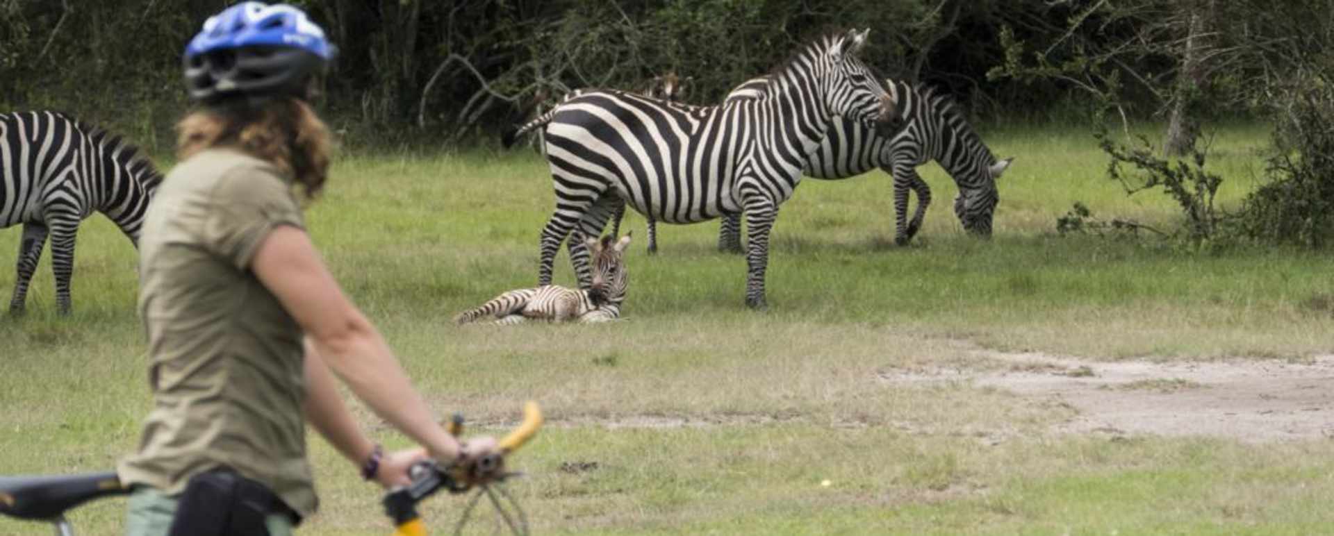 Bike Safari - Mihingo Lodge