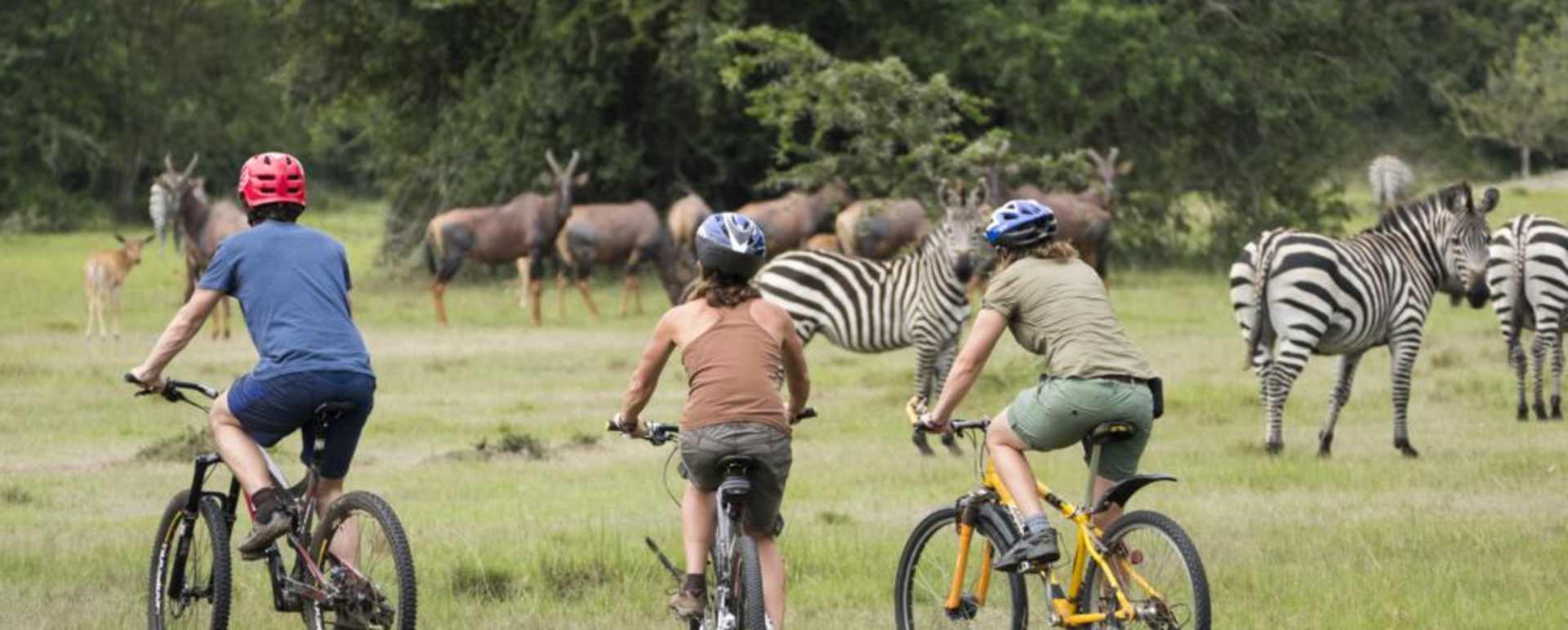 Bikes and Zebra - Mihingo Lodge