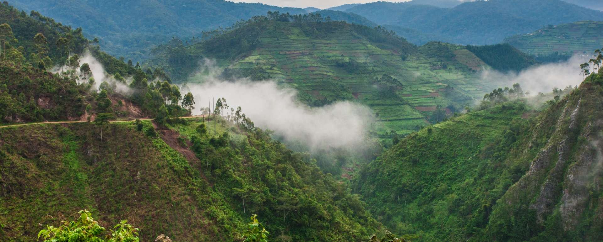 Bwindi - Ultimate Uganda