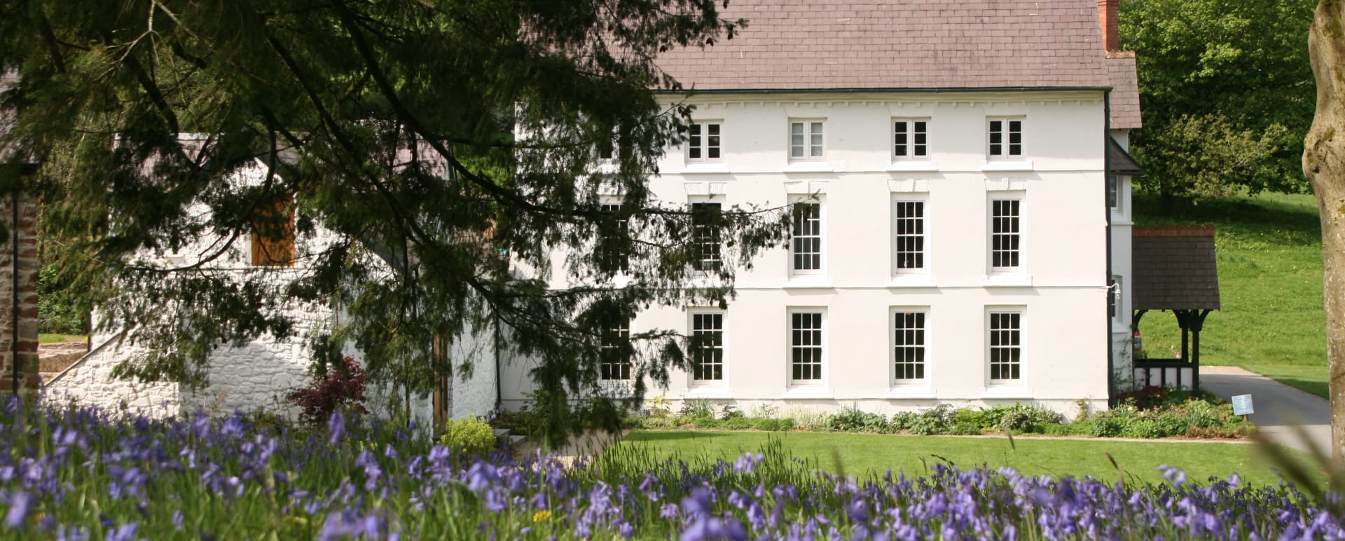 Outside View 