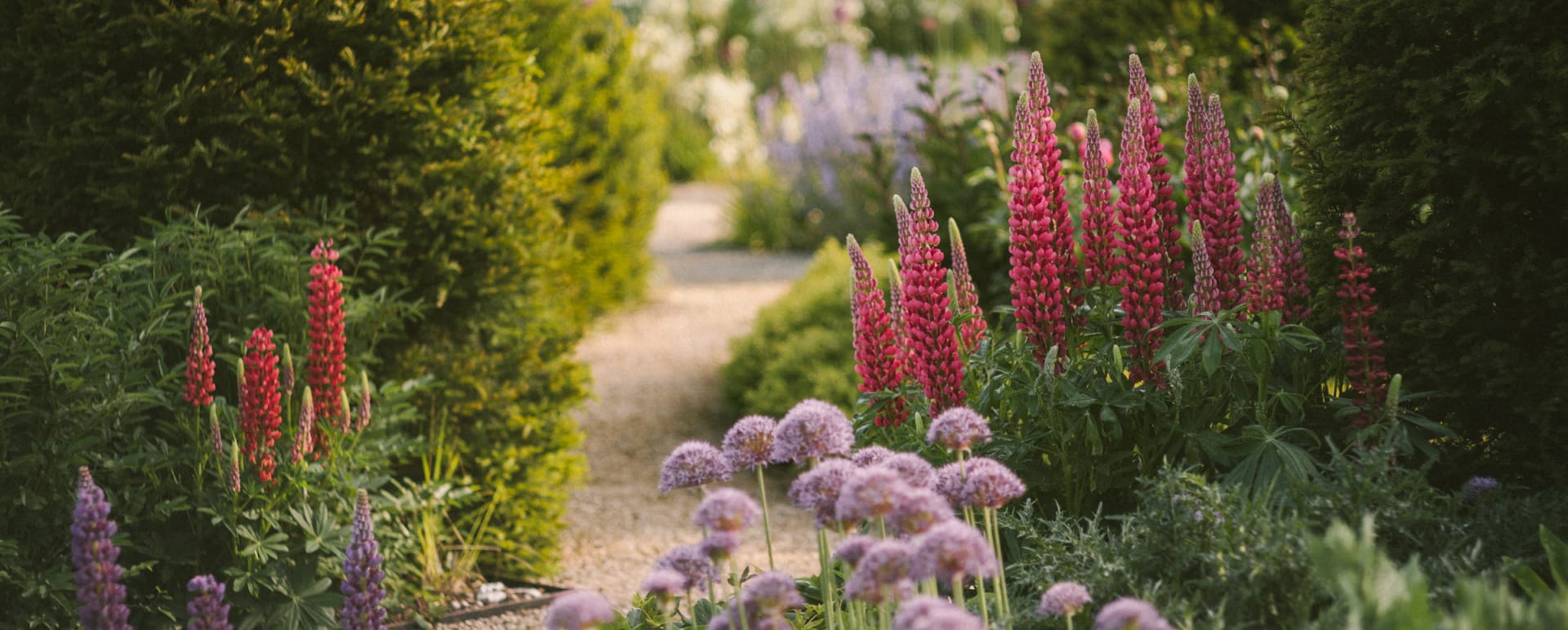 Walled Garden 