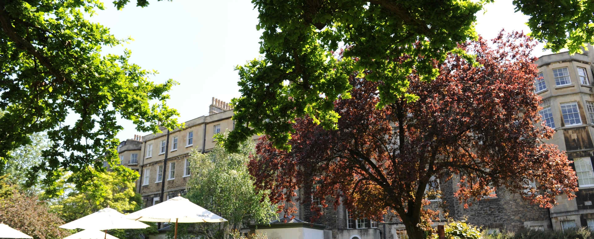 Hote exterior and gardens 