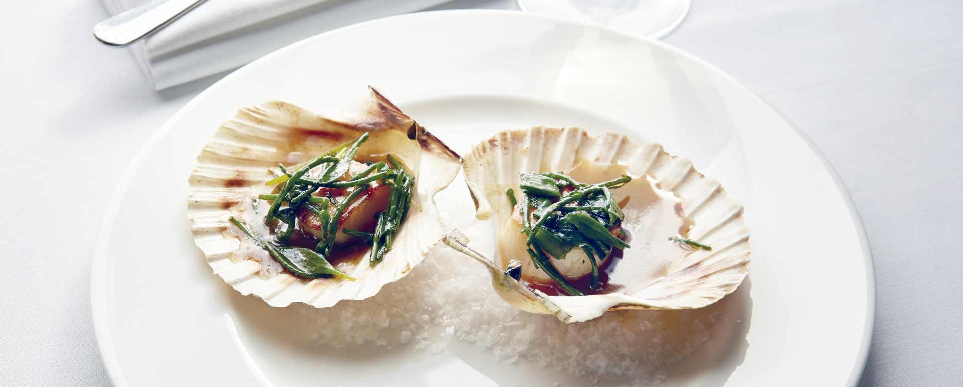 Scallops - University Arms Cambridge 