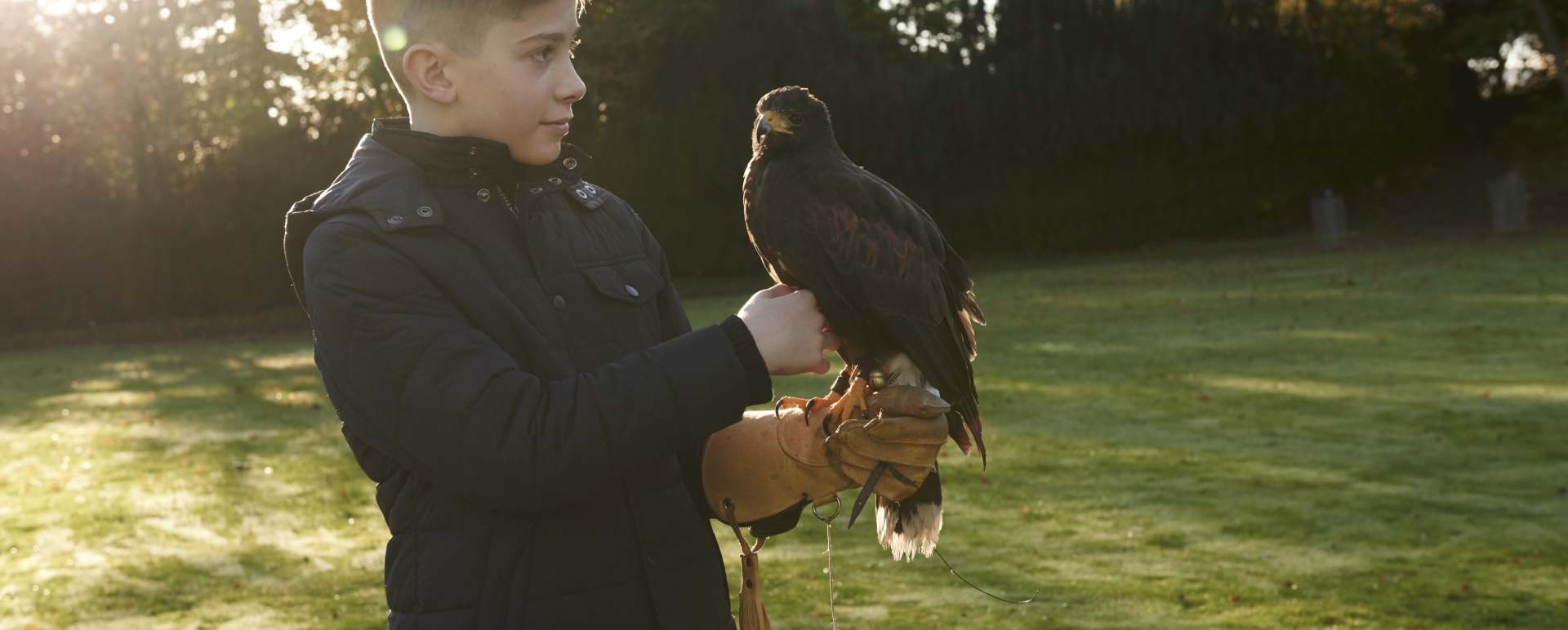 Falconry at Gleneagles
