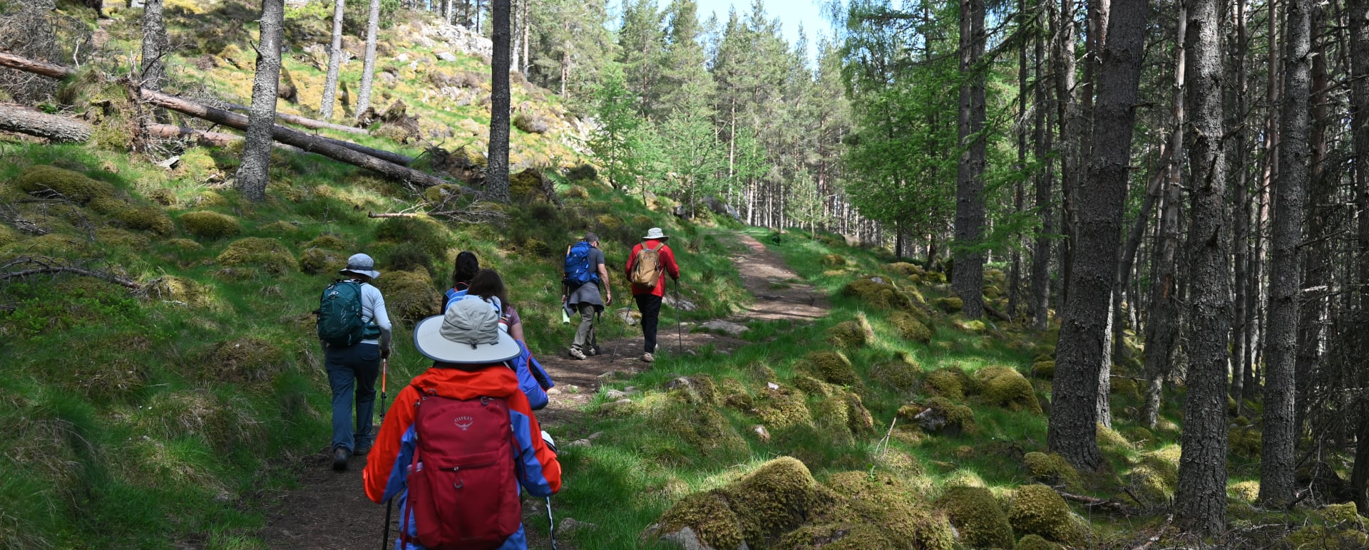 Hiking in Balmoral and a Royal Lochnagar Distillery Tour