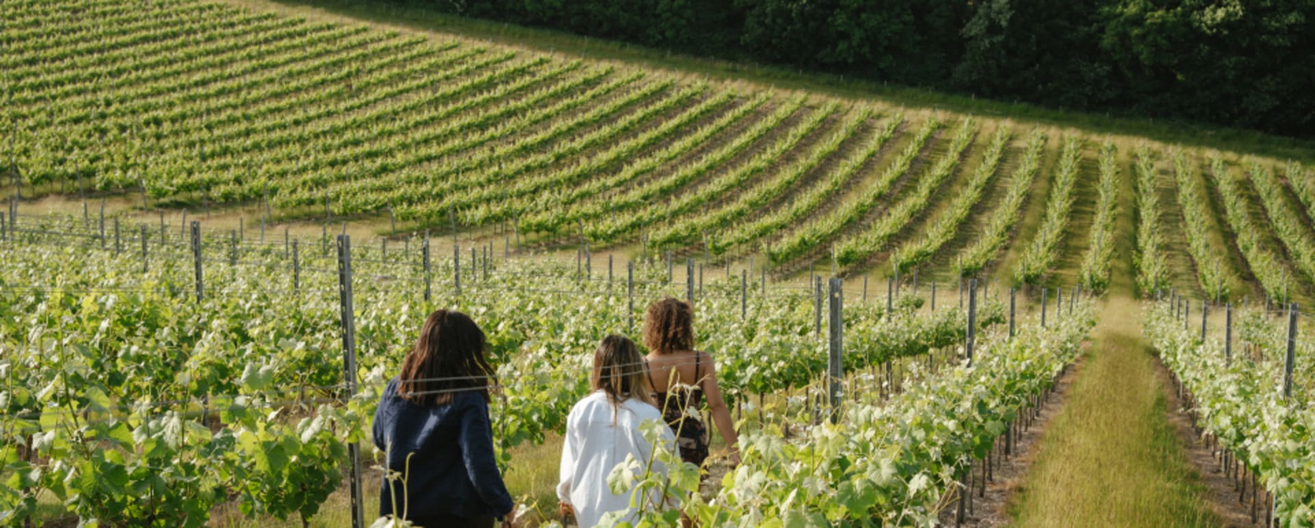 Insights Walking Tour Wine Pairing Experience Scott Dunn