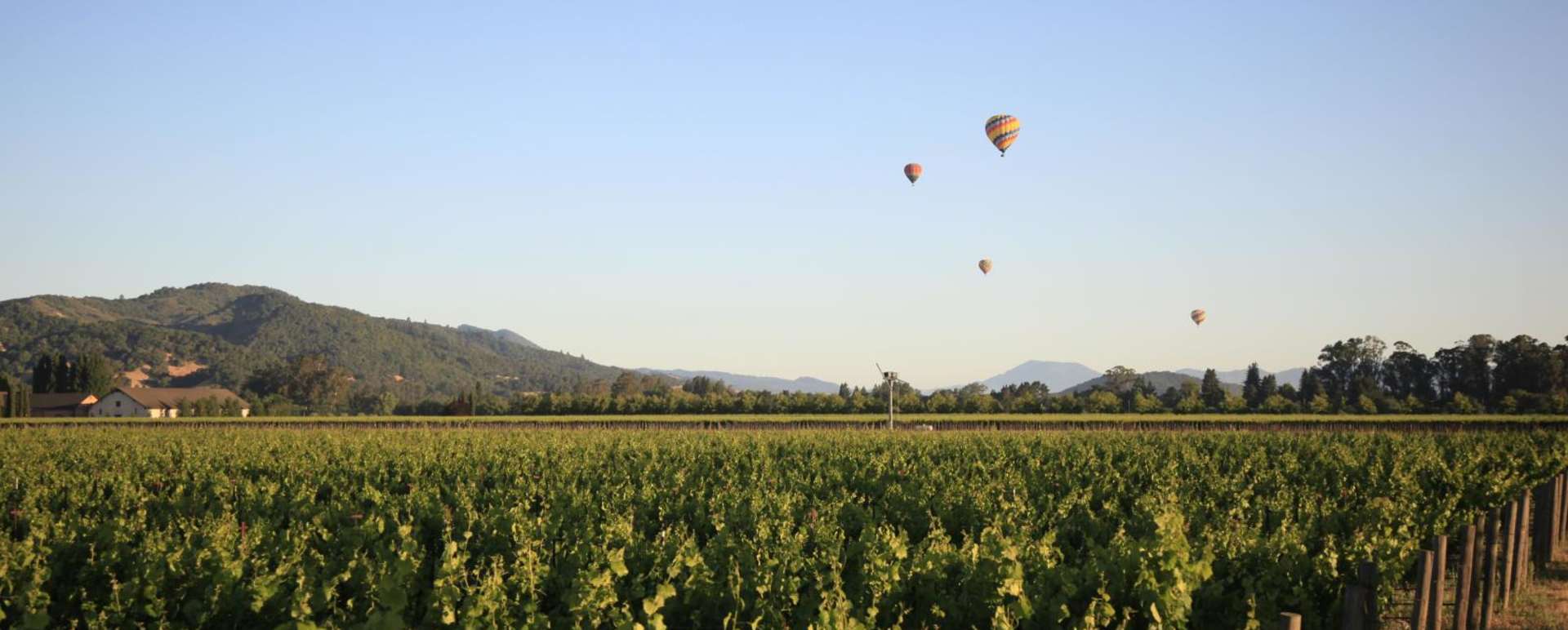 Sonoma Vineyards  - The Farmhouse Inn and Restaurant