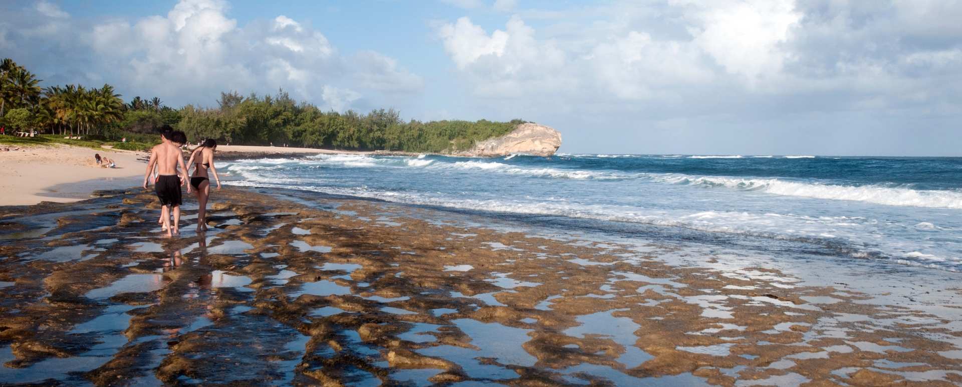 Beach -  Grand Hyatt Kauai Resort and Spa