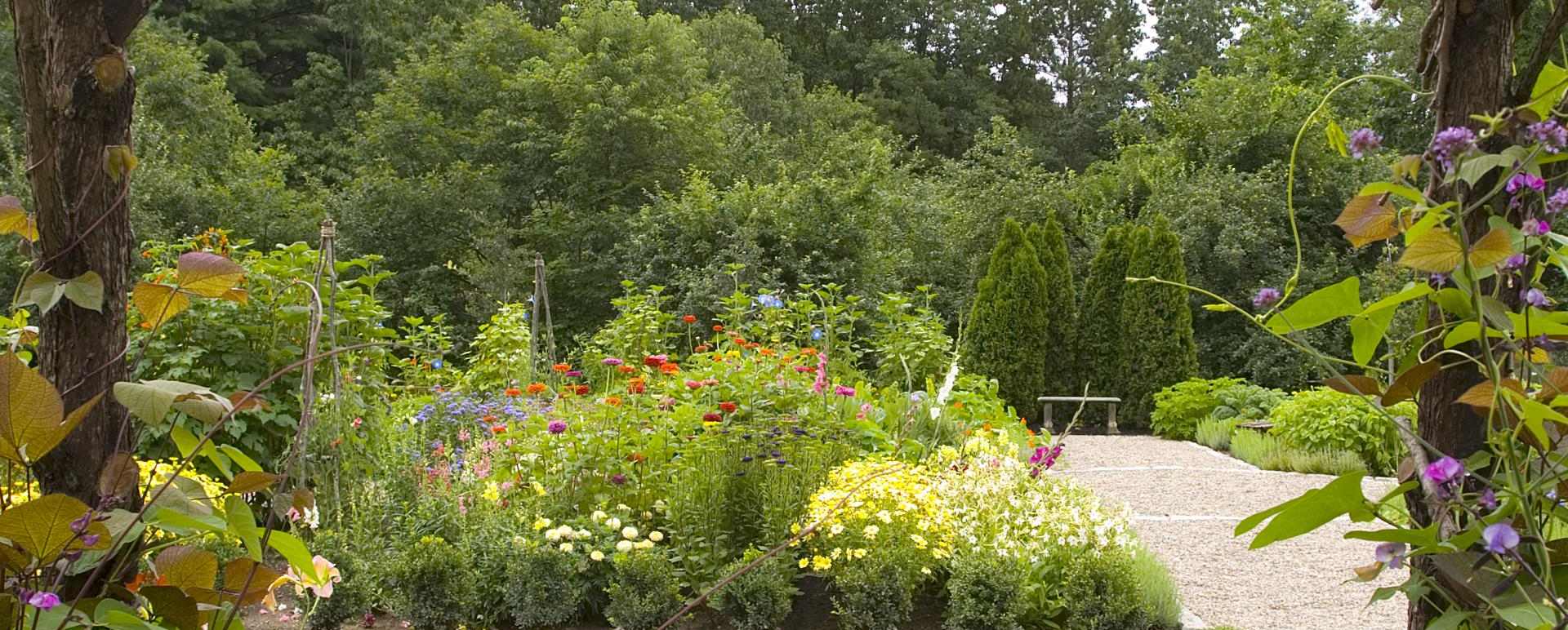 Garden - Hidden Pond