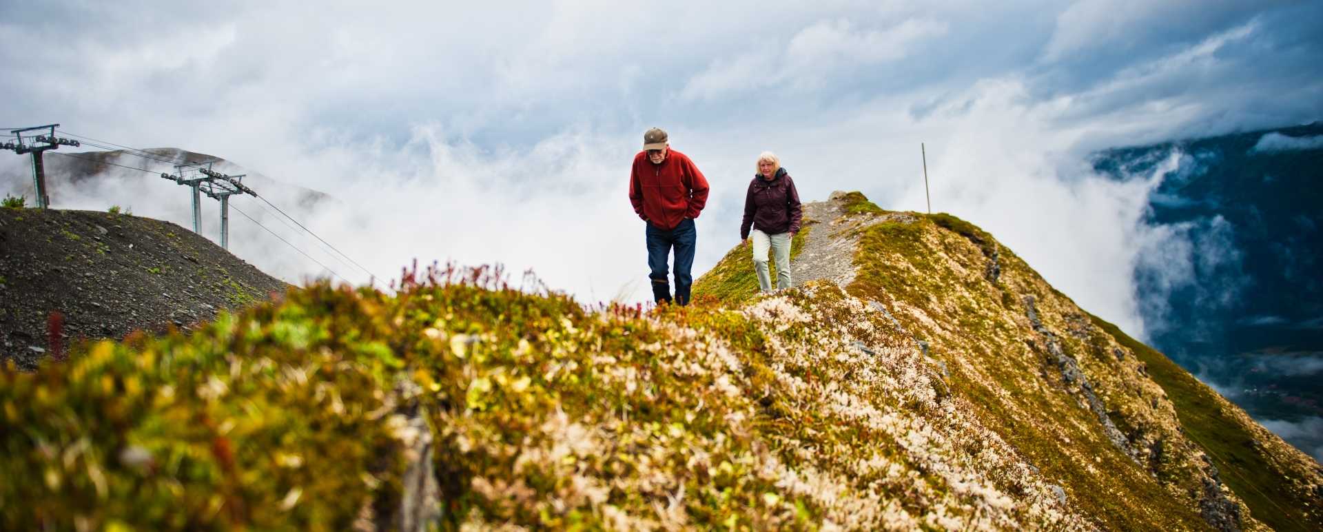 Exploring - The Hotel Alyeska