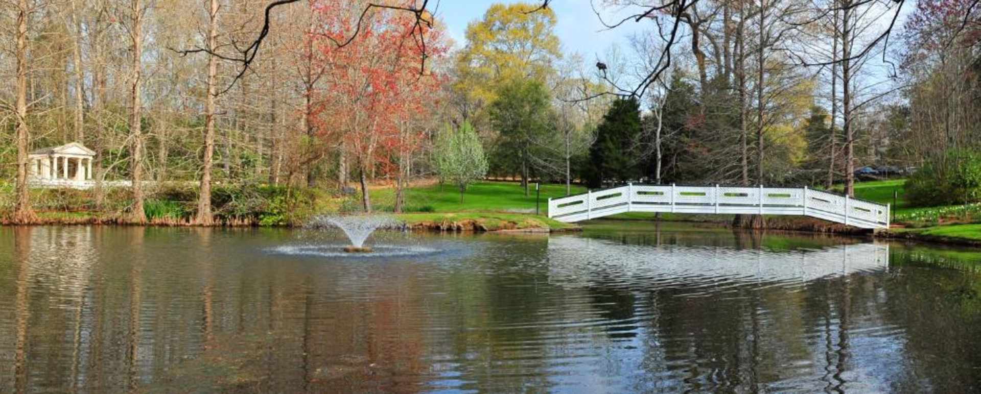 water landscape 