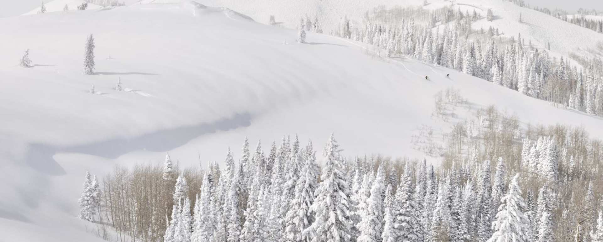 Montage Deer Valley