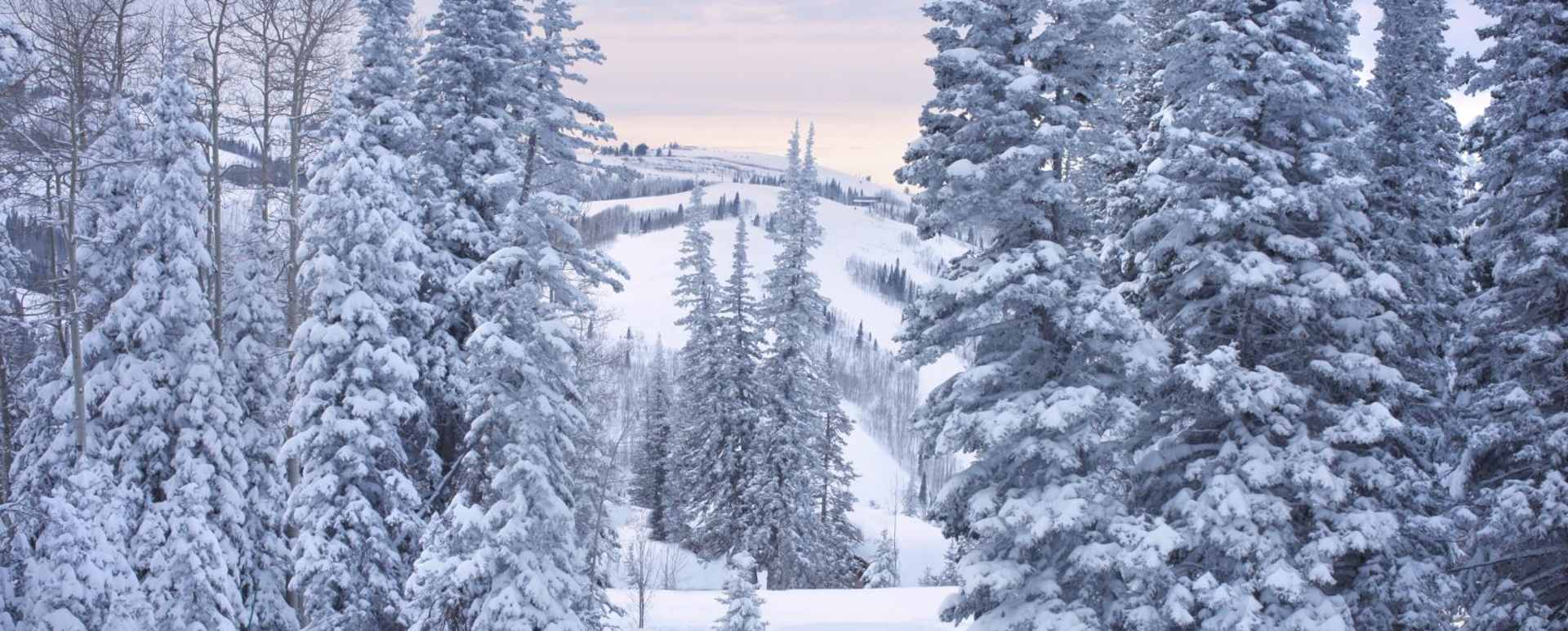 Montage Deer Valley
