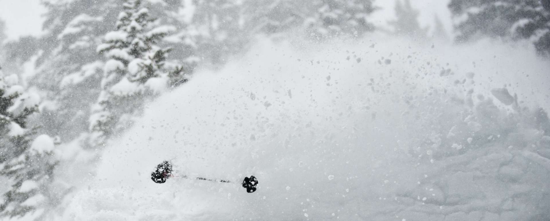 Powder - Scarp Ridge Lodge