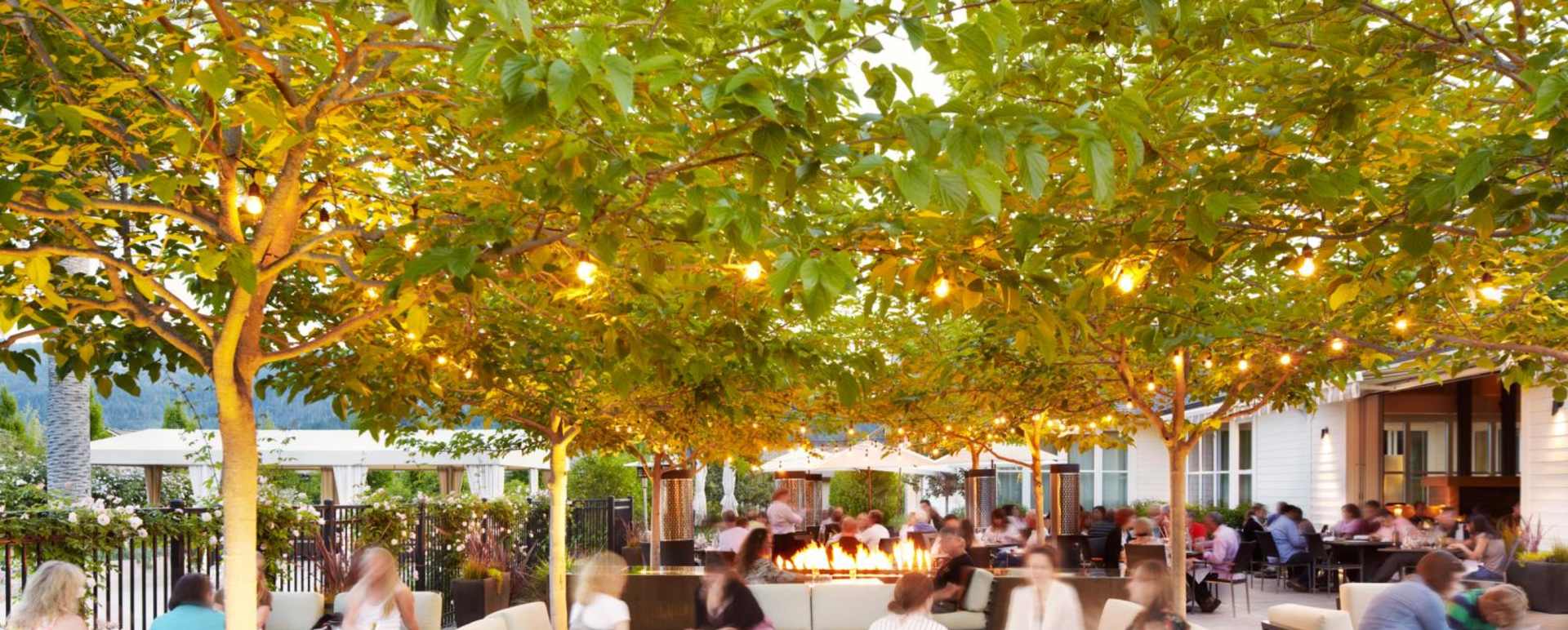 Solbar patio  - Solage Calistoga