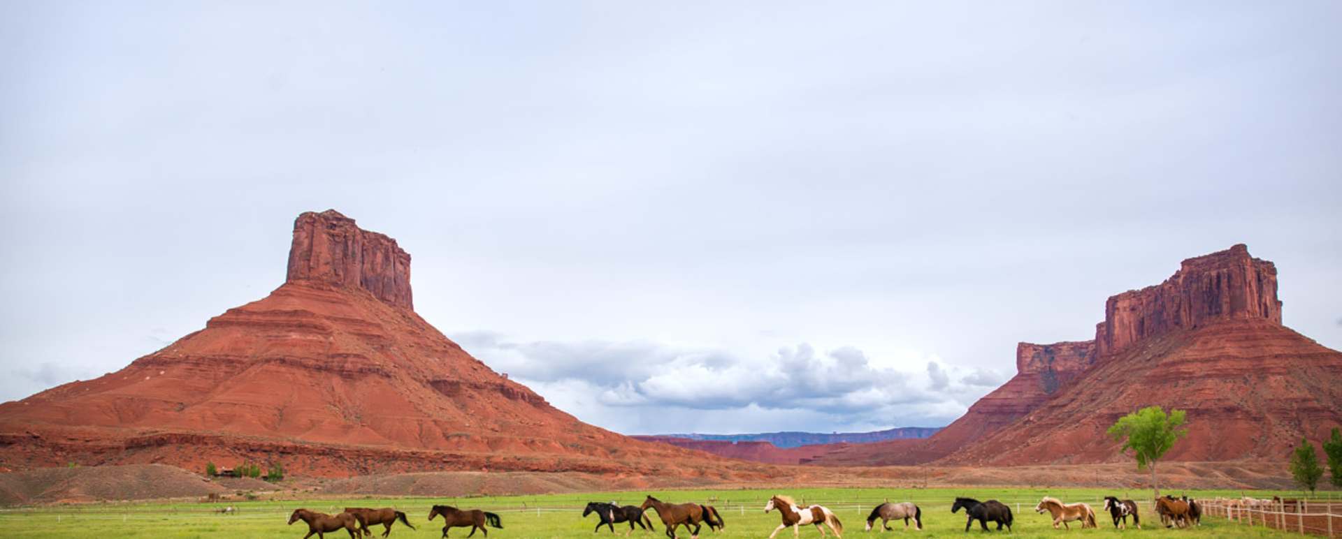 Horses - Sorrel River Ranch