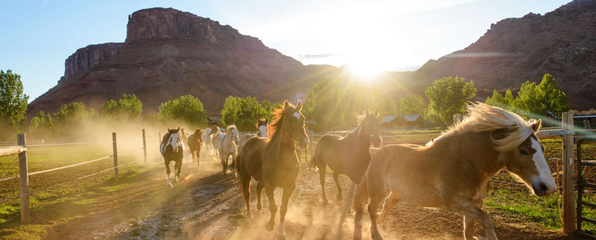 Horses returning - Sorrel River Ranch