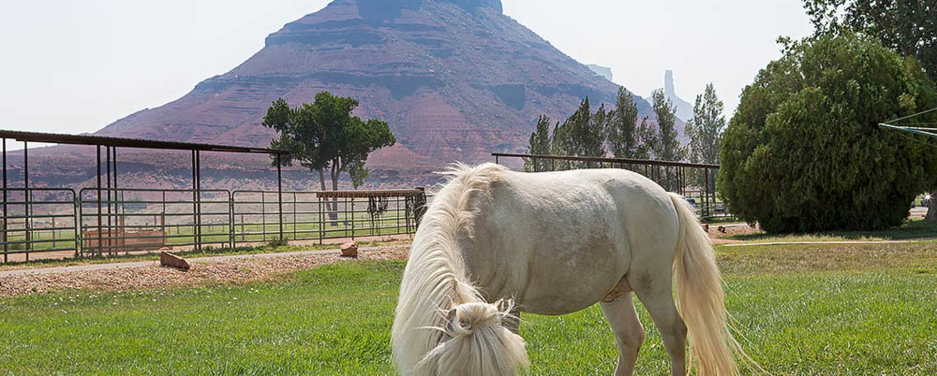 Surrounding Views - Sorrel River Ranch