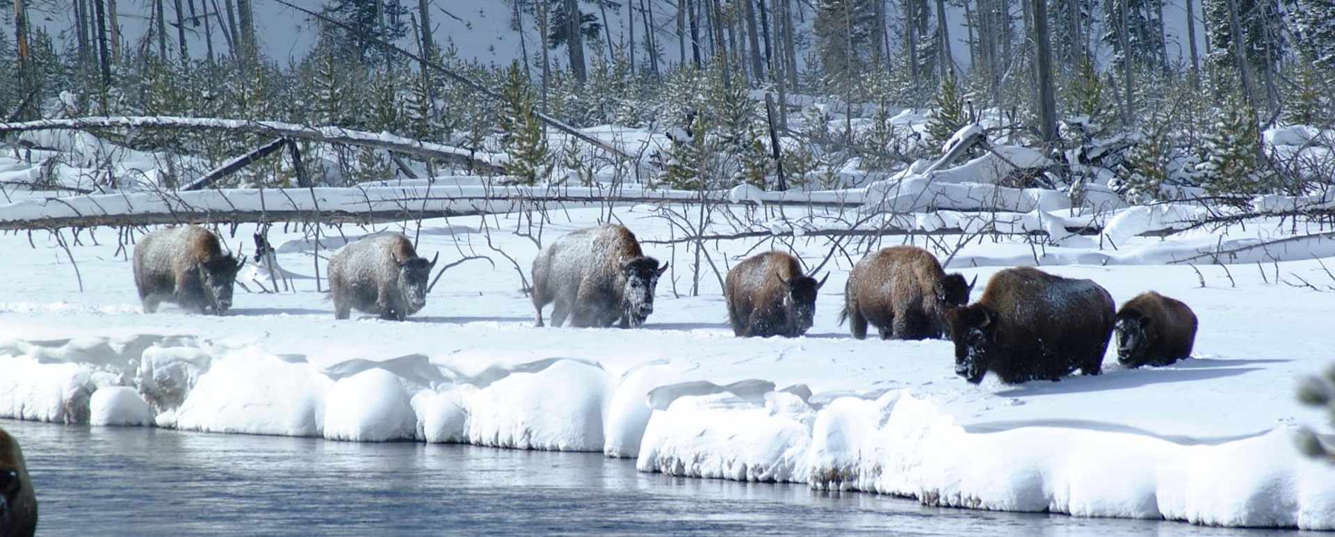 Jackson Hole - Teton Mountain Lodge & Spa