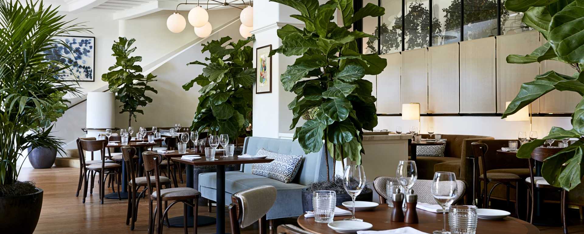 Maybourne Dining Room 