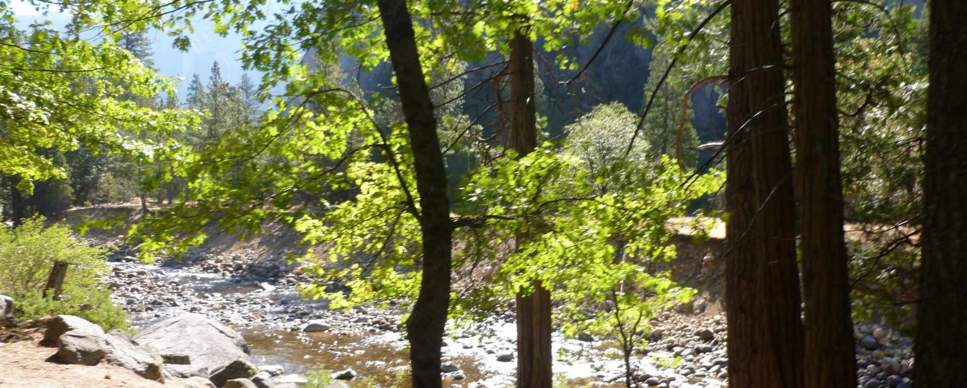 Rivers and Creeks - The Redwoods in Yosemite 