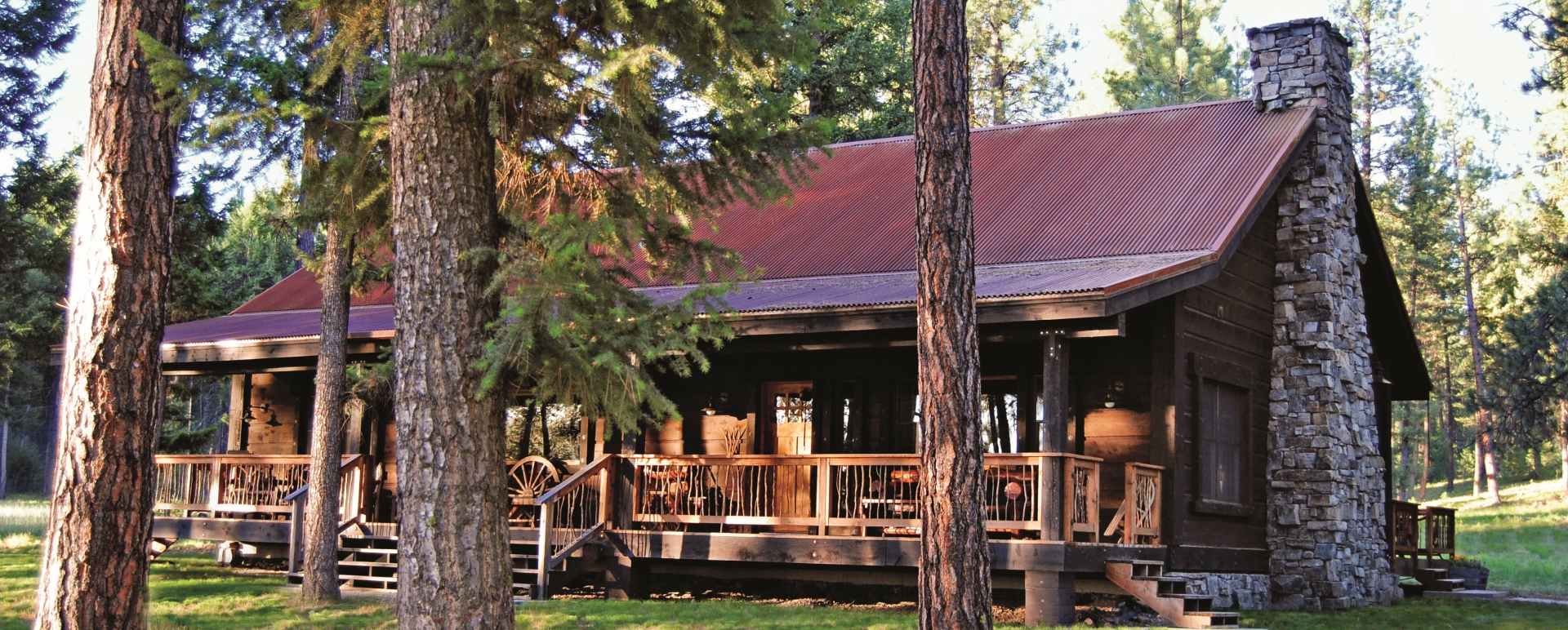 Ponderosa Pine
