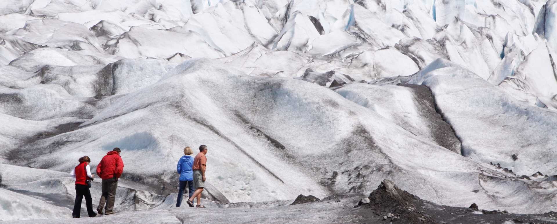 Glacier treks - Tutka Bay Lodge
