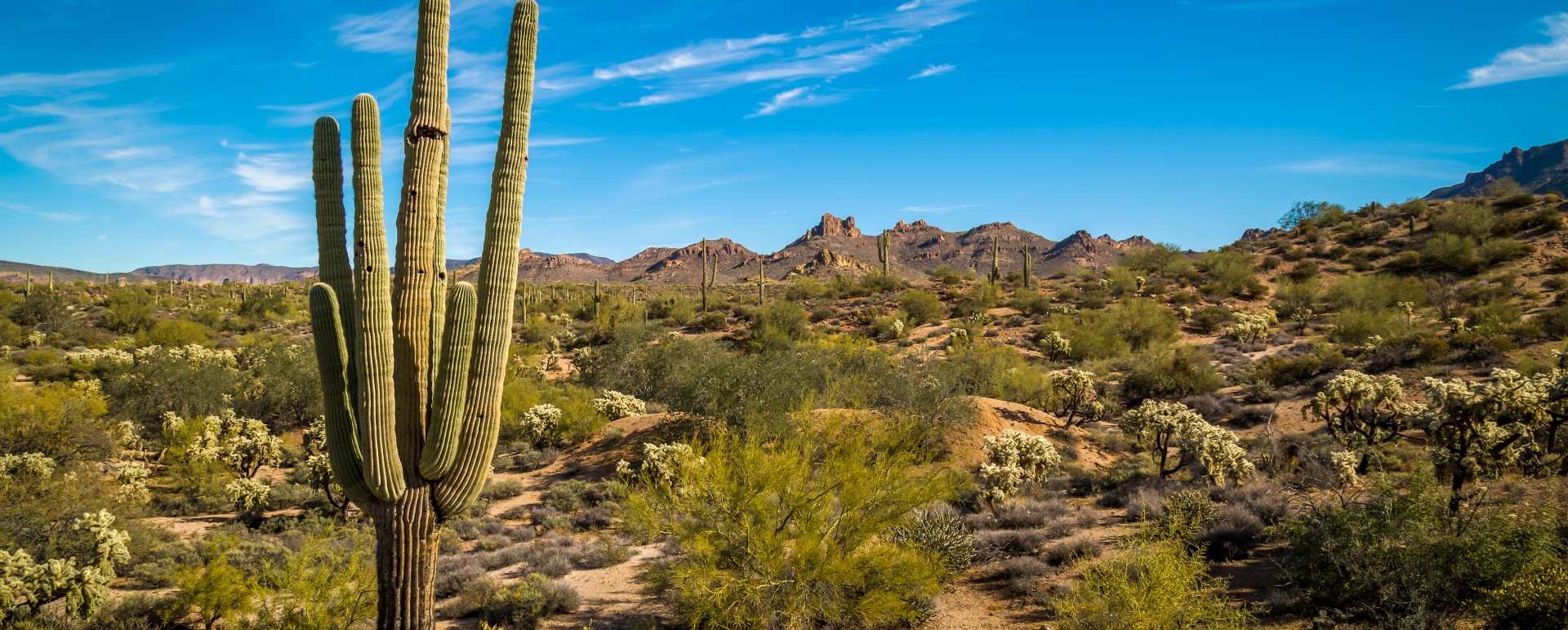 Tucson, Arizona - White Stallion Ranch