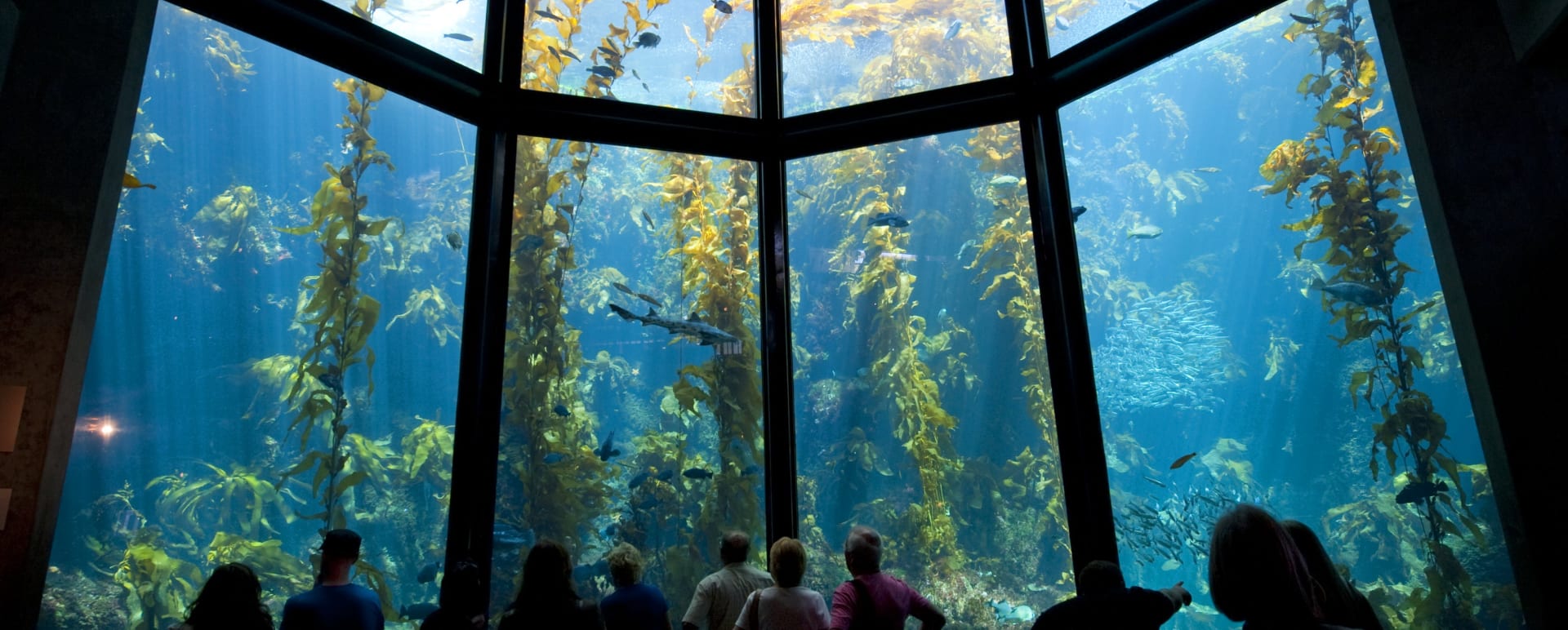 Aquarium of the Pacific BehindTheScenes Tour