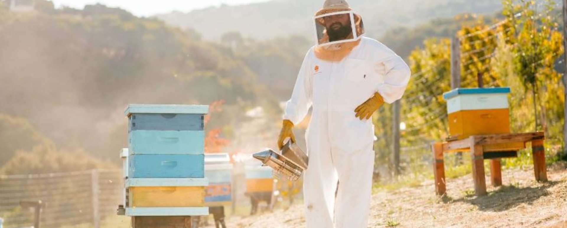 Beekeeping Experience at Carmel Valley Ranch