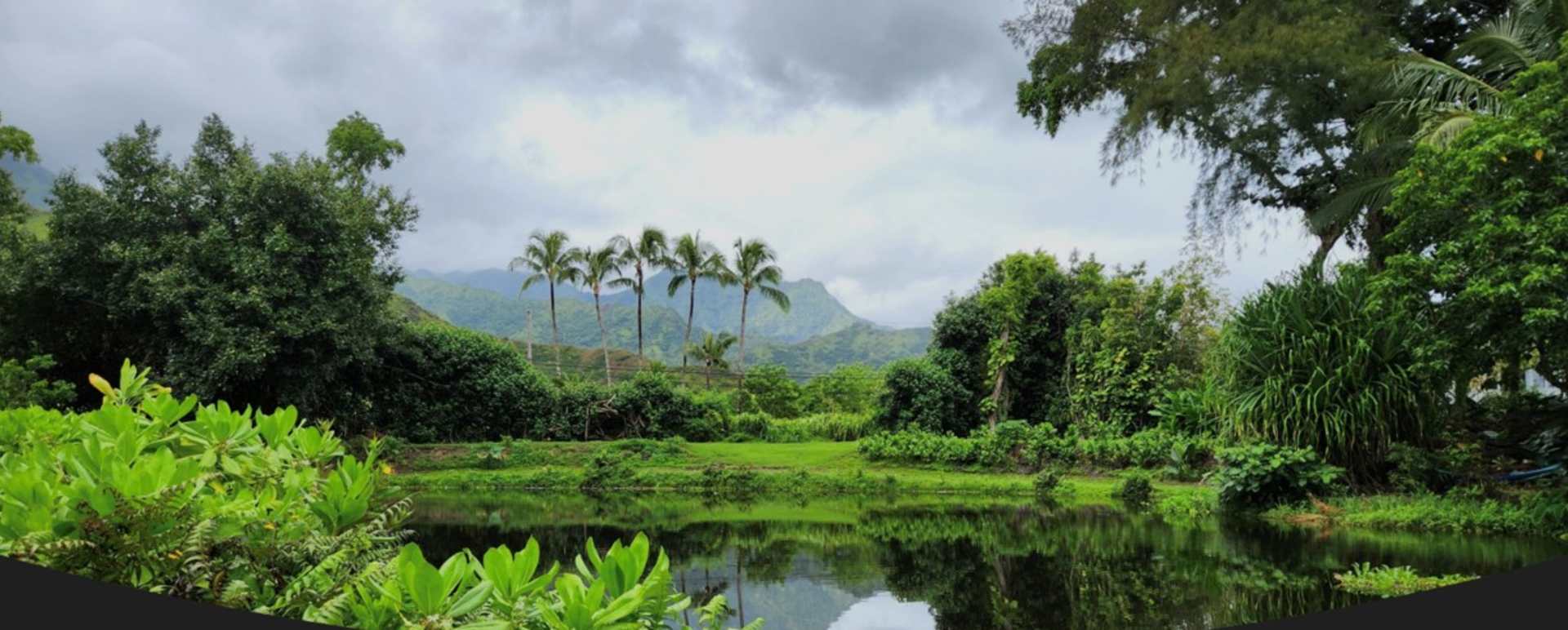 Hawaiian Farm Tour and Lunch
