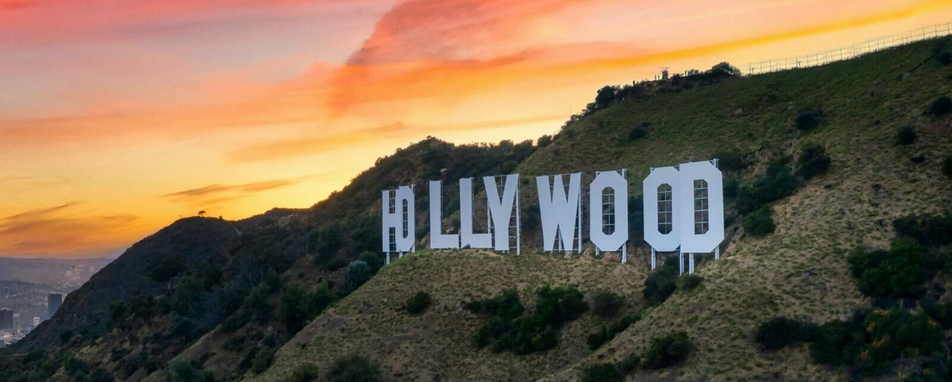 Hollywood Hills Private Hiking Tour