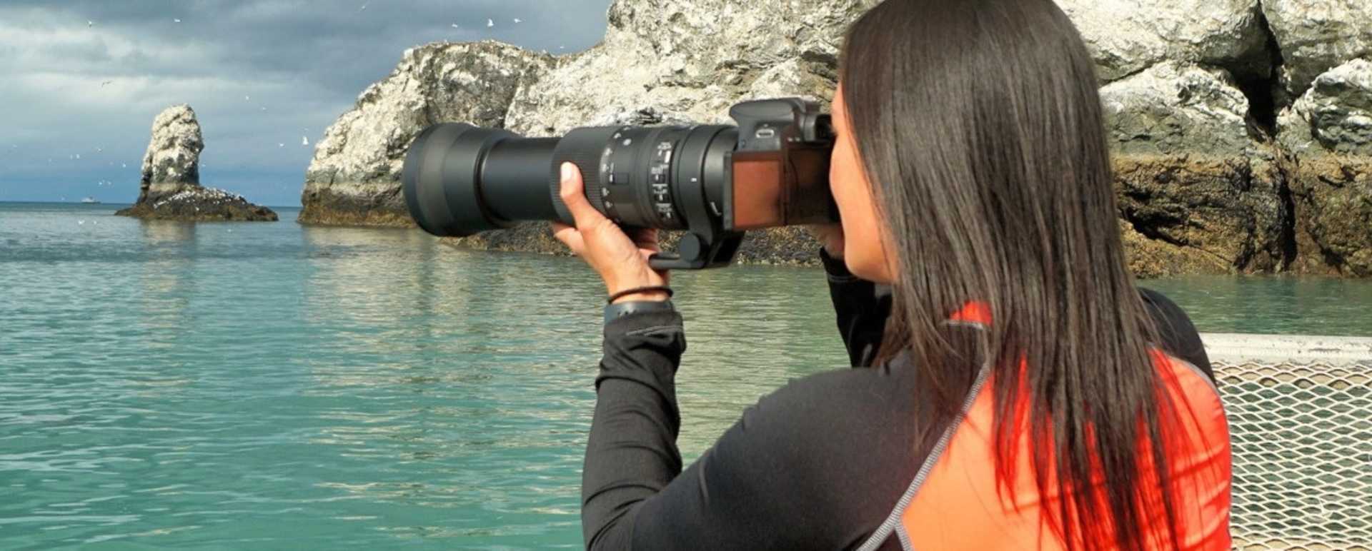 Wildlife PhotoSafari Cruise at Stillpoint Lodge