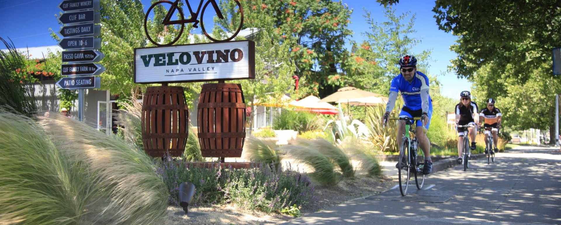 Bike tours in Napa - San Francisco, Napa & Sonoma 