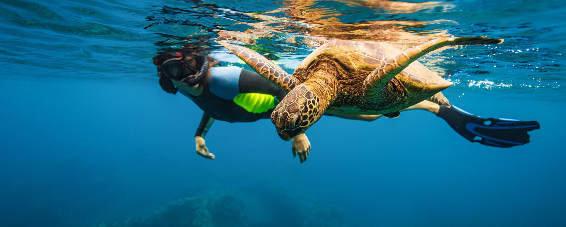 Wild Encounters Hawaii
