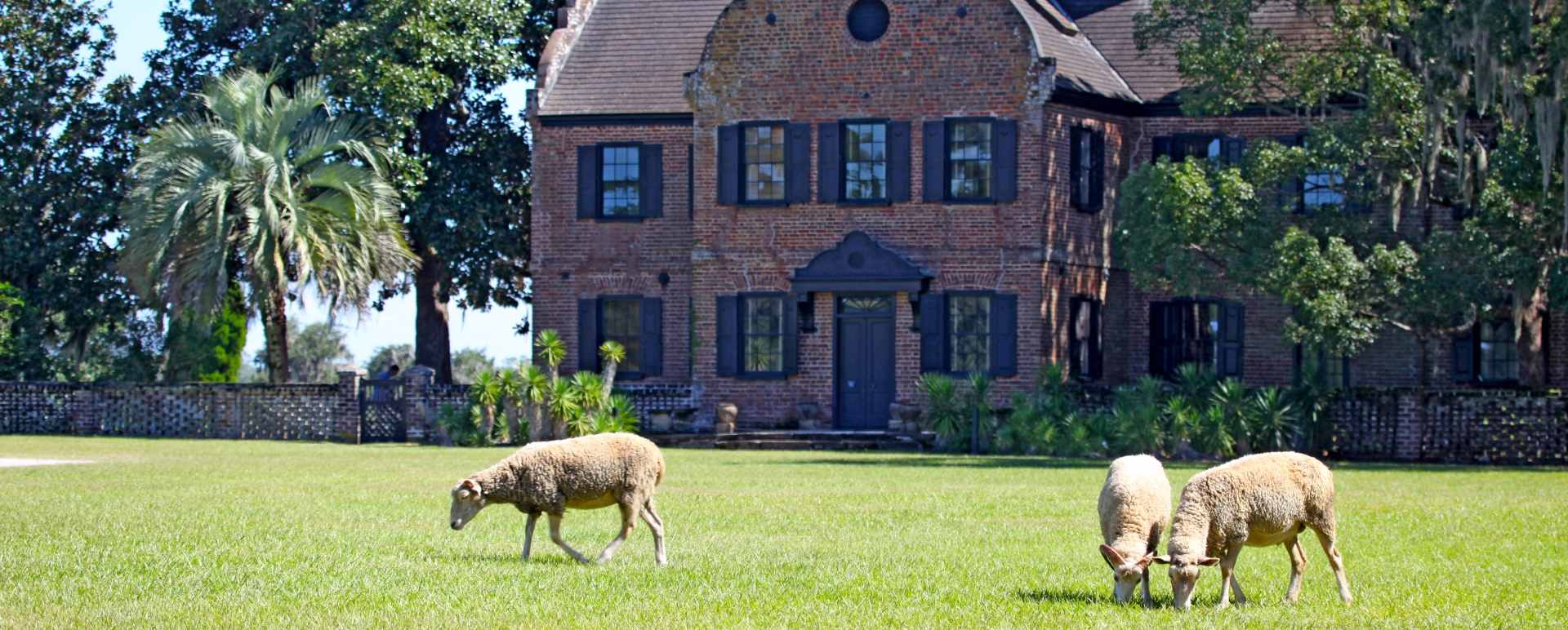 Middleton Place 
