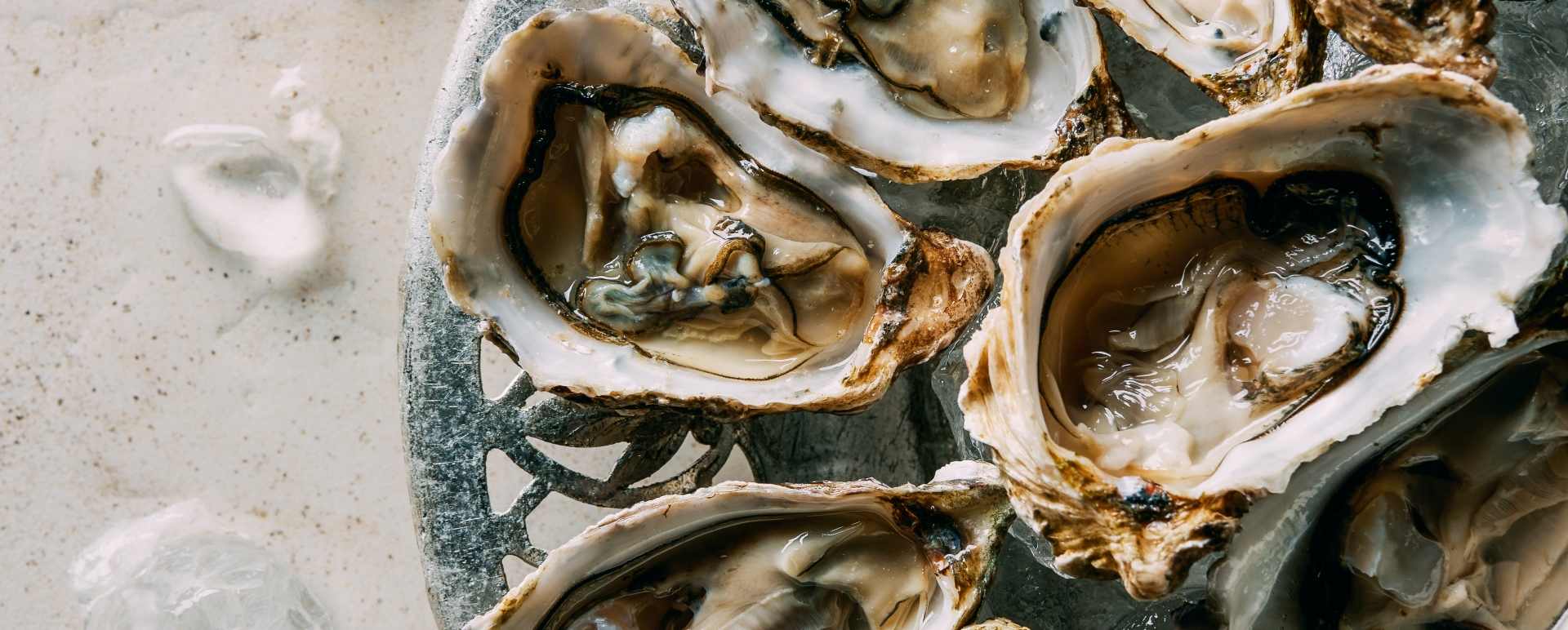Oysters 