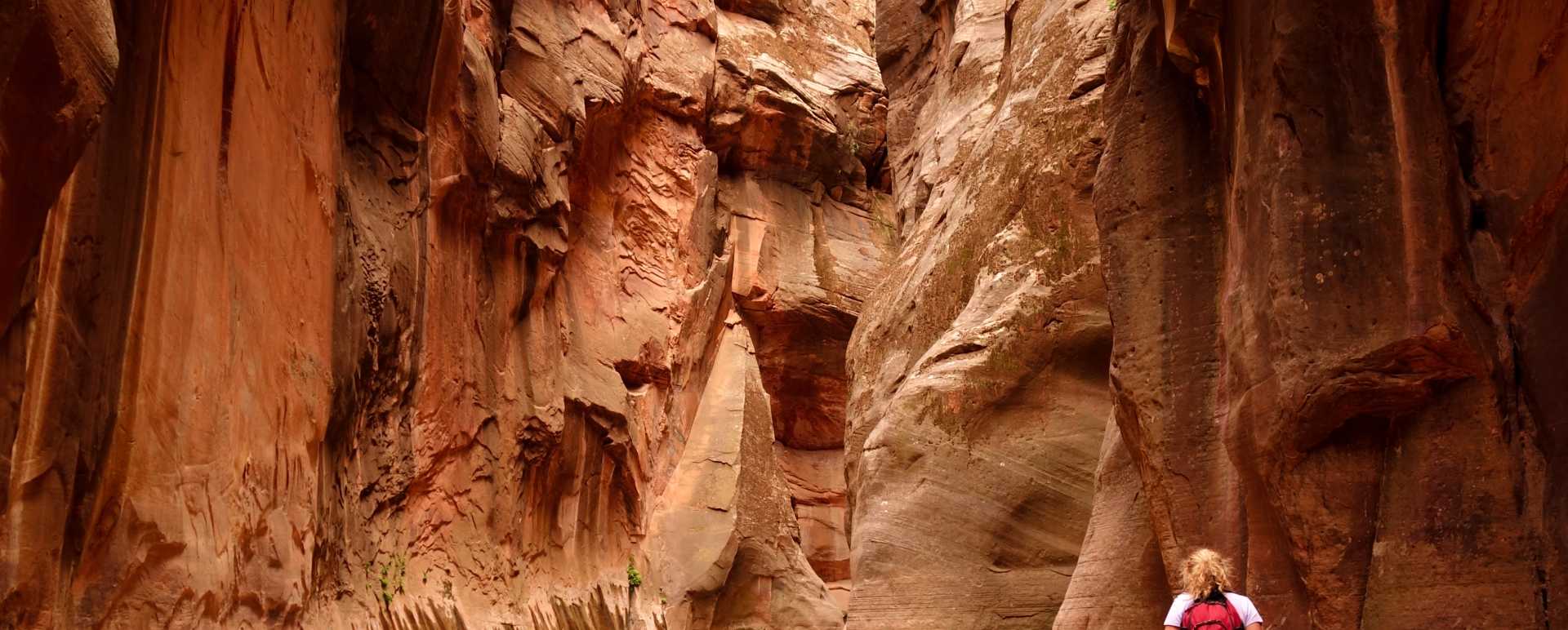 Zion National Park 