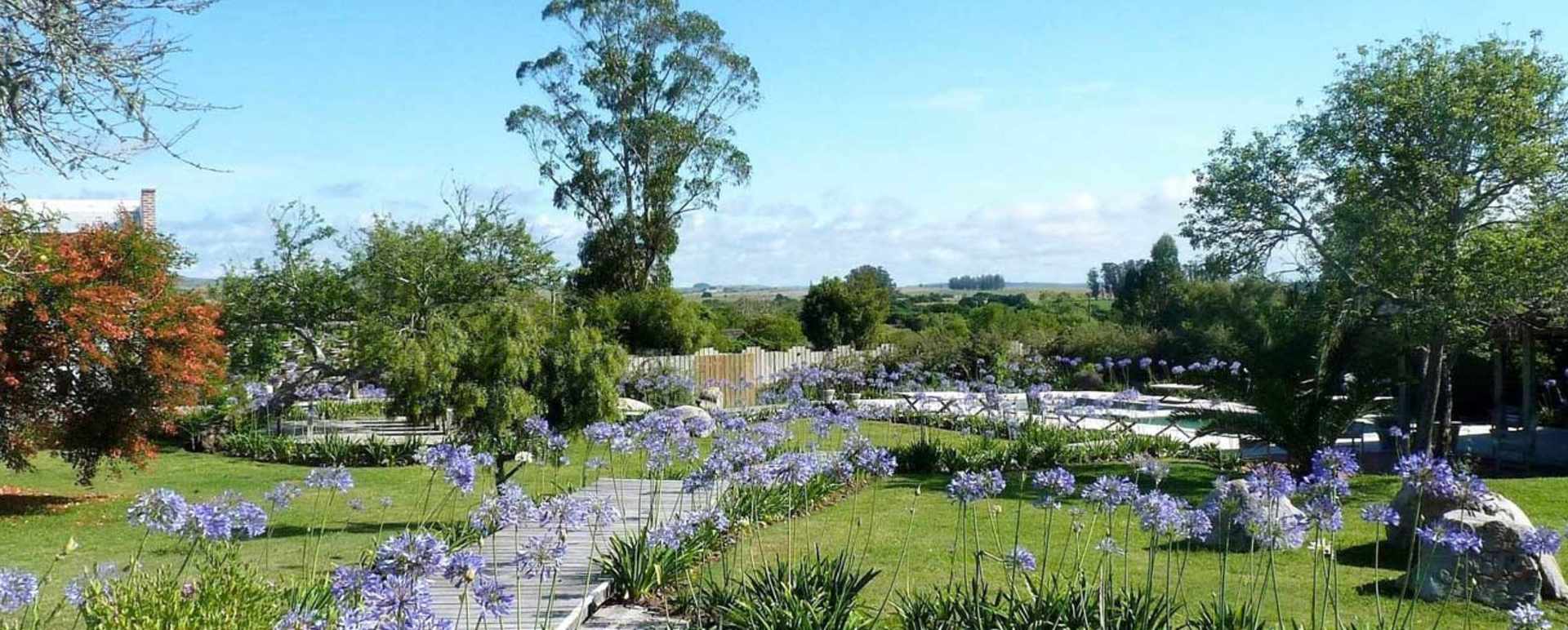 Gardens - Casa Ana