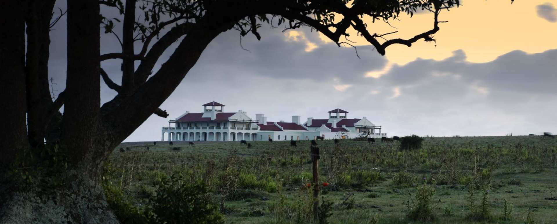 View - Estancia Vik