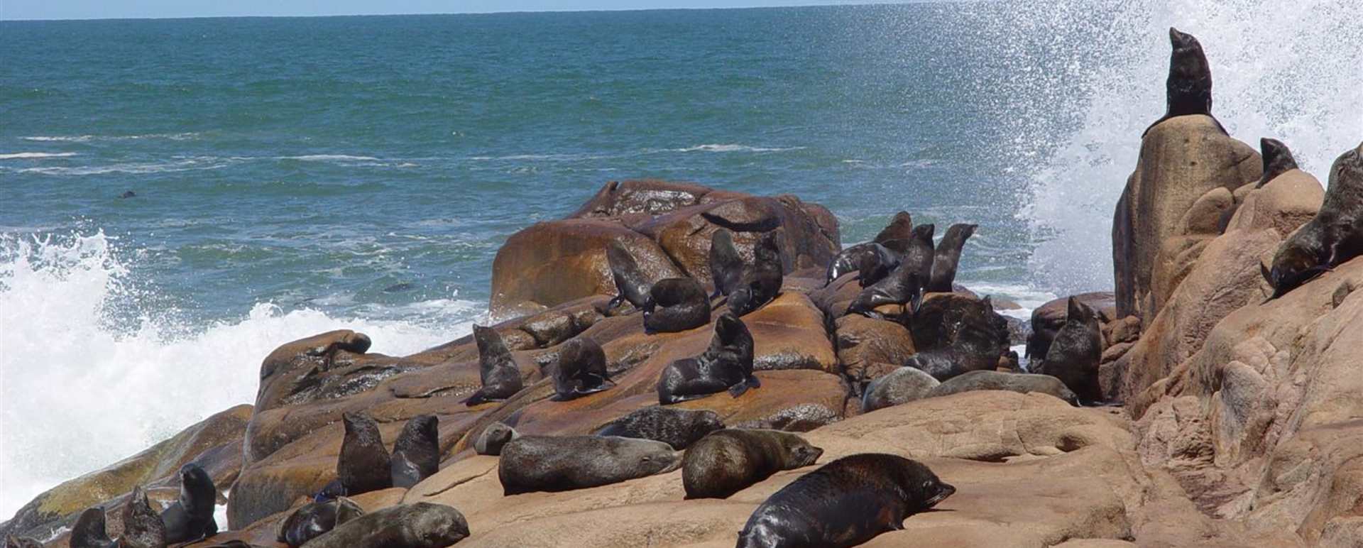 Family Fun in Uruguay 