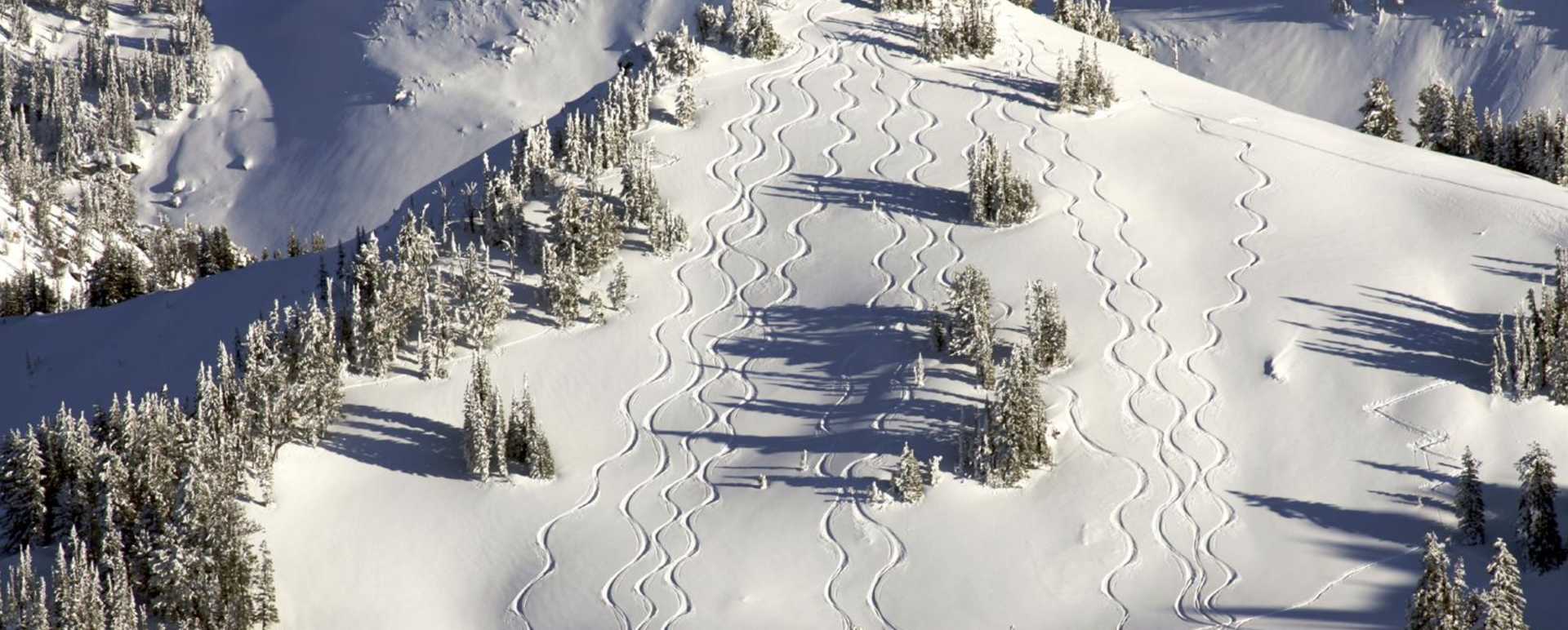Jackson Hole Ski